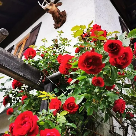 Bed & Breakfast Gaestehaus Neu Am Passionstheater 3*