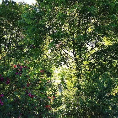 Bed & Breakfast Gaestehaus Neu Am Passionstheater Oberammergau